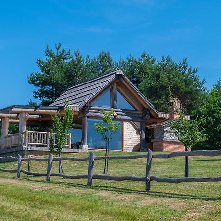 Holiday Home Ernest Zelezni With Hot Tub Ivancna Gorica Zewnętrze zdjęcie