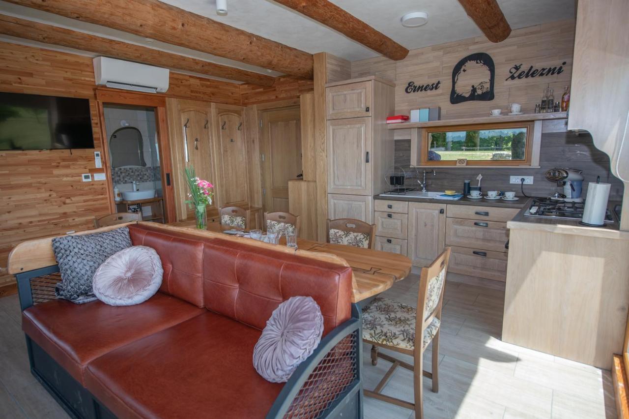 Holiday Home Ernest Zelezni With Hot Tub Ivancna Gorica Zewnętrze zdjęcie