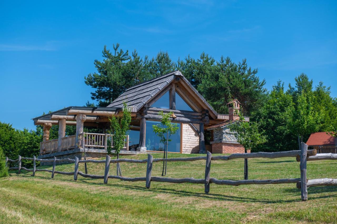 Holiday Home Ernest Zelezni With Hot Tub Ivancna Gorica Zewnętrze zdjęcie